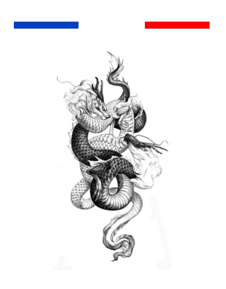 Tatouage dragon serpent noir et blanc